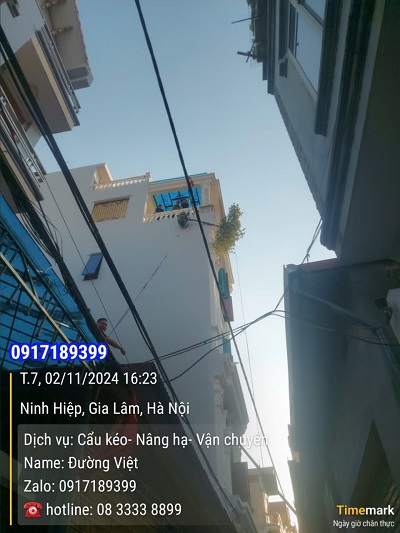 Kéo cây cảnh lên tầng 7 tại Ninh Hiệp, Gia Lâm